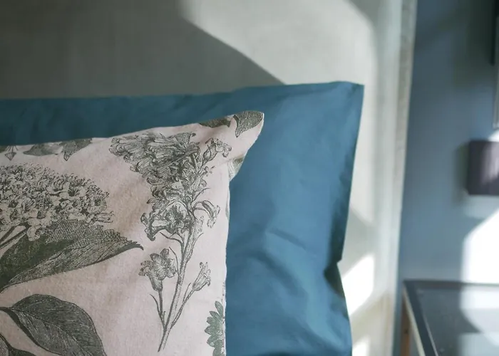 Casa Botanica - Boutique Nel Centro Di * 阿尔巴